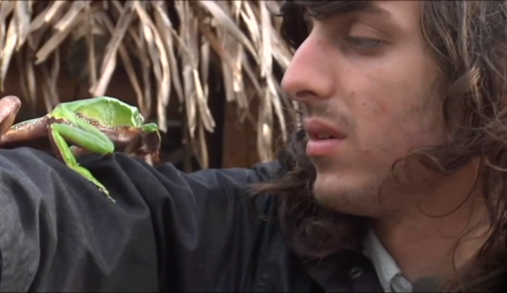 KISS THE PRINCE: Frog and Hamilton Morris discover the wonders of cross-cultural friendships.