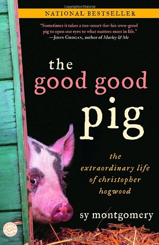 GOOD READ: Cop The Good Good Pig from your nearest library. Yeah, that building-like thing that has books inside.