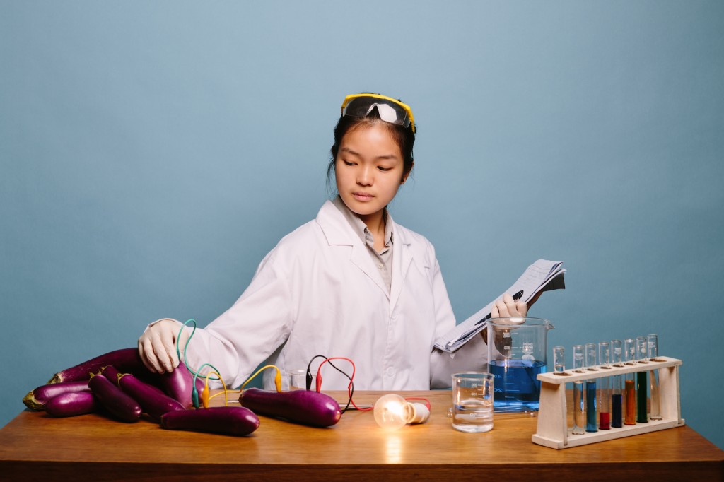 MAD AWESOME SCIENTIST: Shannon Lee developed a novel electrocatalyst for metal-air batteries – Chinese eggplant.