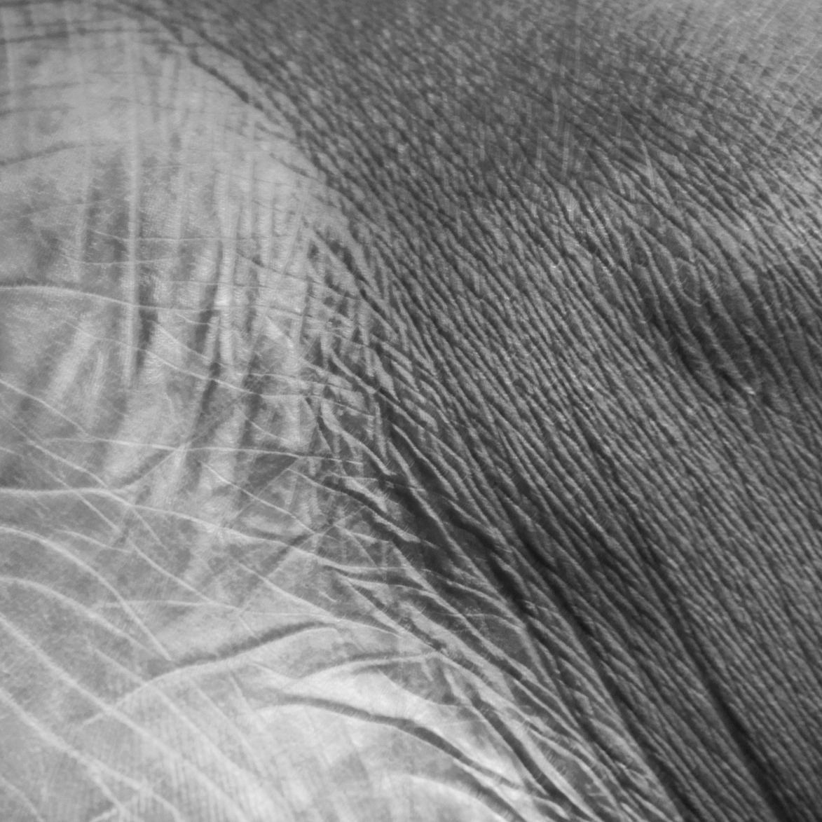 Ashvini Ray body close ups black white photography 03