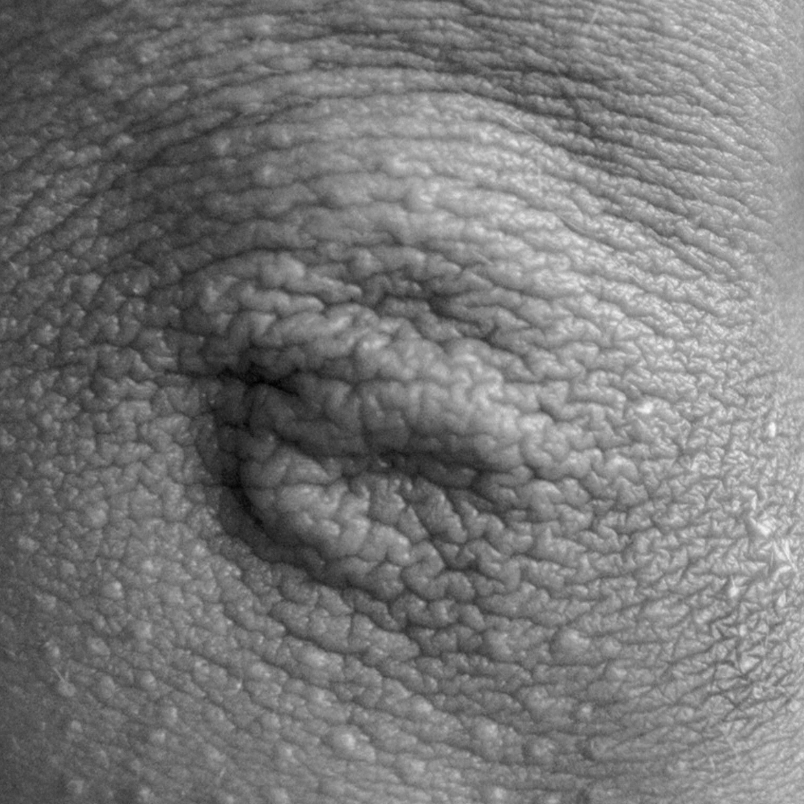Ashvini Ray body close ups black white photography 05