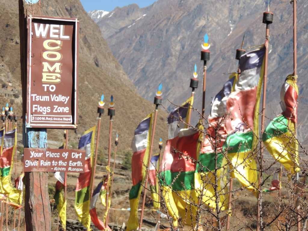 Prayer flags fluttering in the wind.