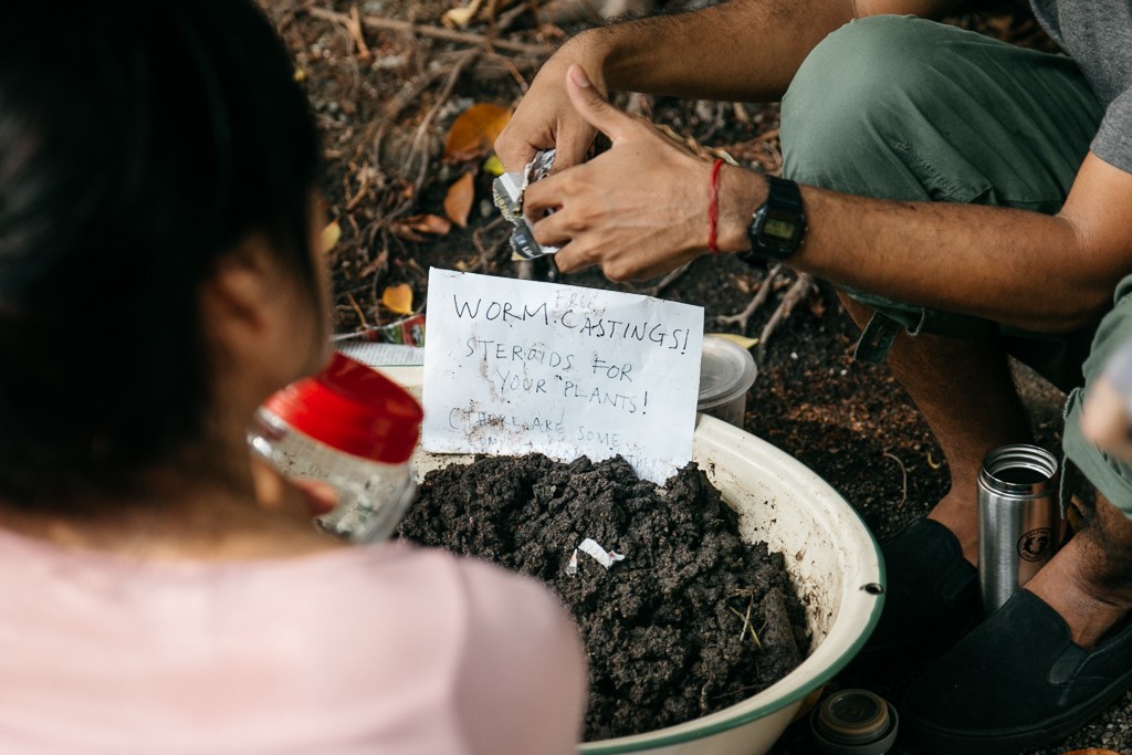 Really-really-free-market-singapore-worm-castings