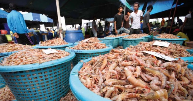 WHAT YOU EAT: Shrimp for sale at the fish market in Ranong, Southern Thailand.